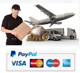 fast delivery payment